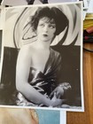 Collection Of 8x10 Photos Of Vintage Hollywood Beauties — photo 8