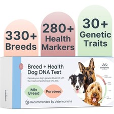 Dog DNA Test Kit for 330 Breeds 280 Health Risks 30 Traits Comprehensive