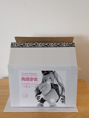 Original Character Nikukan Girl 1/4 Figure Insight Opened Box But Sealed Plastic