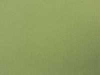 Rasch Tapete Selection 736250 GrüN Uni Vliestapete Vlies