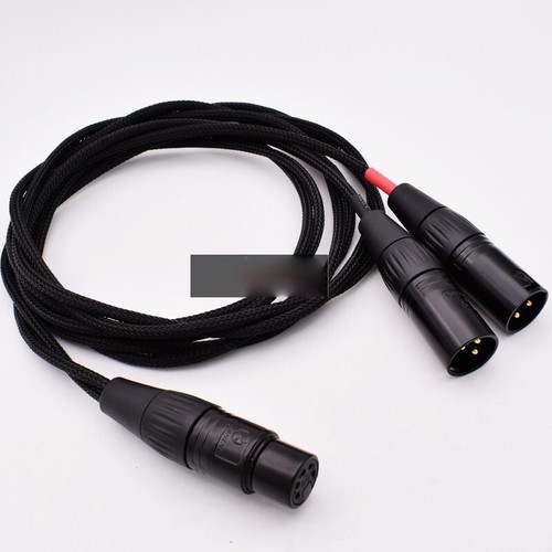 Studio Y Splitter Stereo Microphone Cable 5-Pin XLR Female to 2x 3-Pin XLR Male - Picture 3 of 3