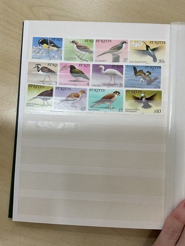 British Commonwealth stamps, St Kitts etc, MNH, 22 sides #z738 - 第 13/23 張圖片