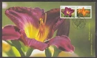 CANADA 2012 FDC 2529-2530 DAYLILIES - ORANGE & PURPLE, DIE-CUT FROM BOOKLET