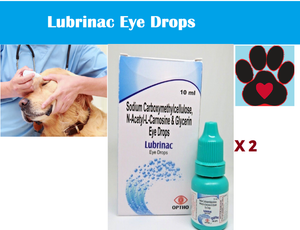 cataract drops for dogs
