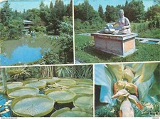 Romania - Cluj - Gradina botanica - Botanical Garden - Multivviews - Romania - Ru