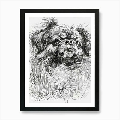 Pekingese Dog Line Sketch 1 Art Pri Framed Wall Art Poster Canvas Print Picture