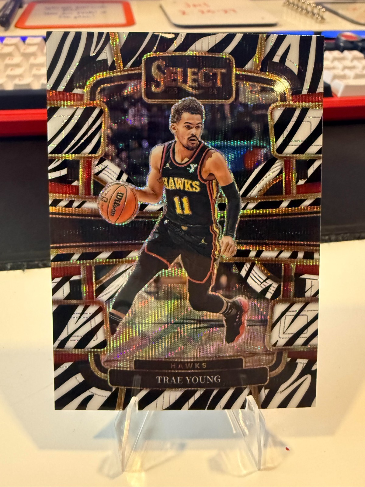 2023-24 Panini Select - Concourse Trae Young #43 Zebra Prizm