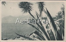 Vintage PUTNIK Topographical Postcard Lopud Yugoslavia 1953 Posted Dalmatian