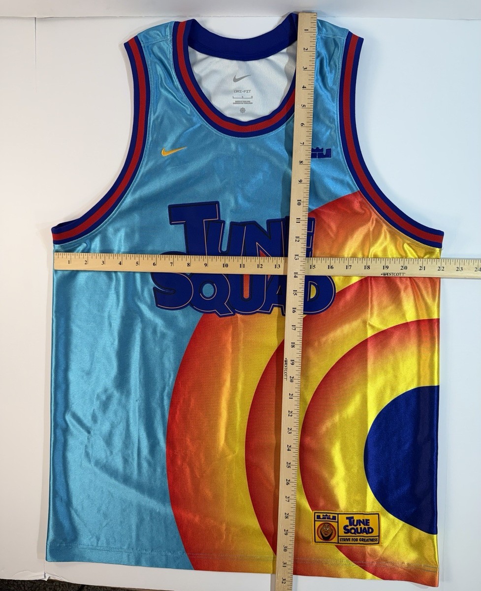 NIKE LEBRON×SPACE PLAYERS 上下ユニフォーム Nike Tune Squad Jersey Space Jam Lebron #6 Mens Large Blue Dri Fit
