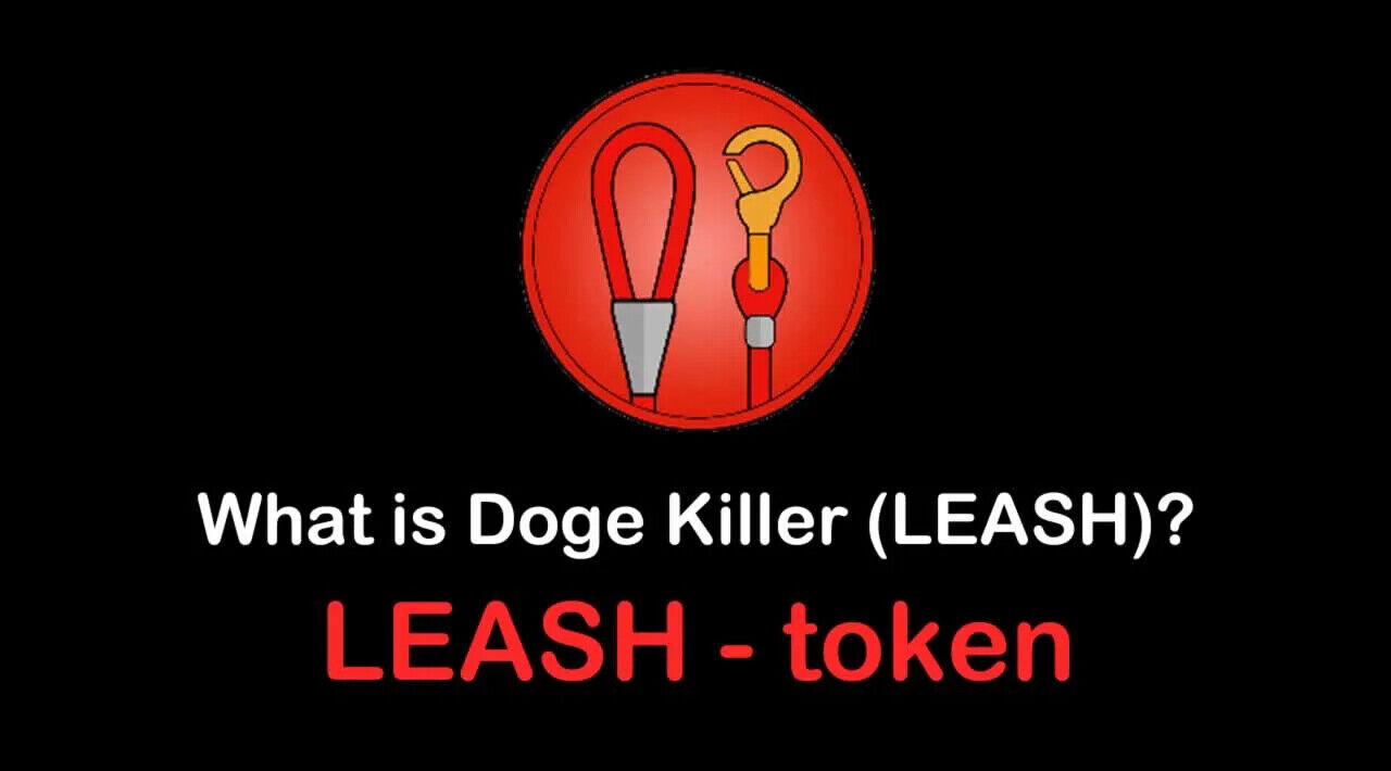 Leash crypto coin best time of day to buy crypto