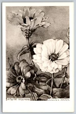 Postcard RPPC Indiana State Flower Zinnia E13