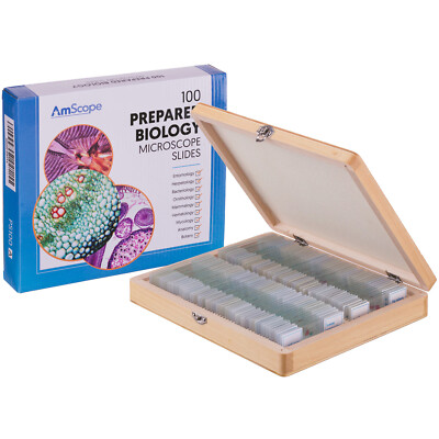 AmScope PS100A 100 PC Prepared Biological Microscope Glass Slides - Set A U AmScope PS100A 100 PC Prepared Biological Microscope Glass Slides - Set A U