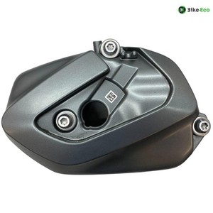 Linke Zylinderkopfhaube BMW R 1250 GS 2018-2023