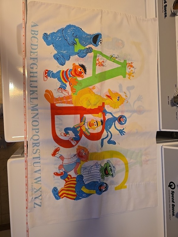 Two Sesame Street Vintage Pillowcases