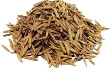 WHOLE KARVA INDRAJAU BITTER OLEANDER HOLARRHENA PUBESCENS