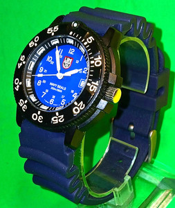 Luminox 3000 3900 | eBay