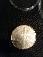 Genuine 2004  American Eagle 1oz Silver Coin In plastic case.