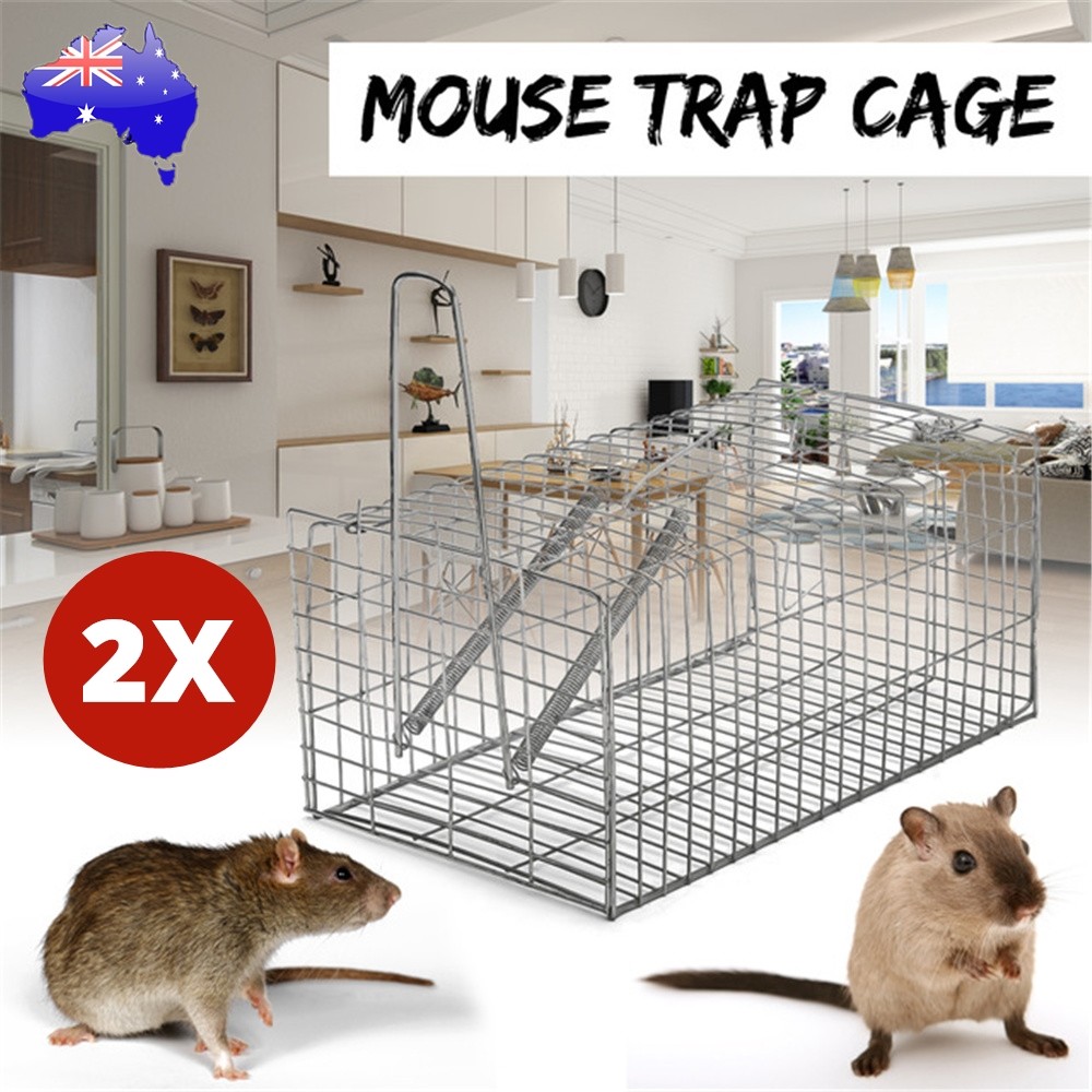 Humane Rat Trap Cage Small Live Animal Pest Rodent Mice Mouse Control Bait  Catch | eBay Australia