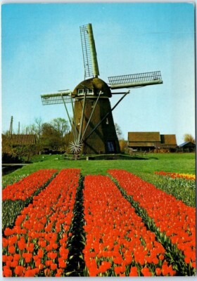 Postcard - Nature Windmill Houses Landscape Scenery