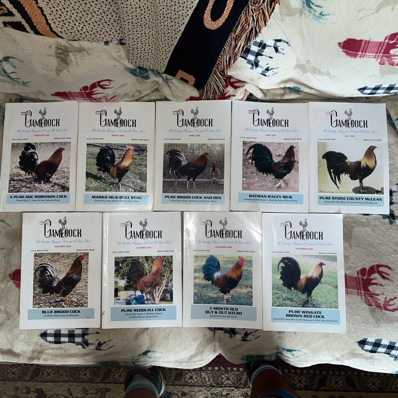 The Gamecock Magazine *Lot of 9 Issues* 2008 February - December 