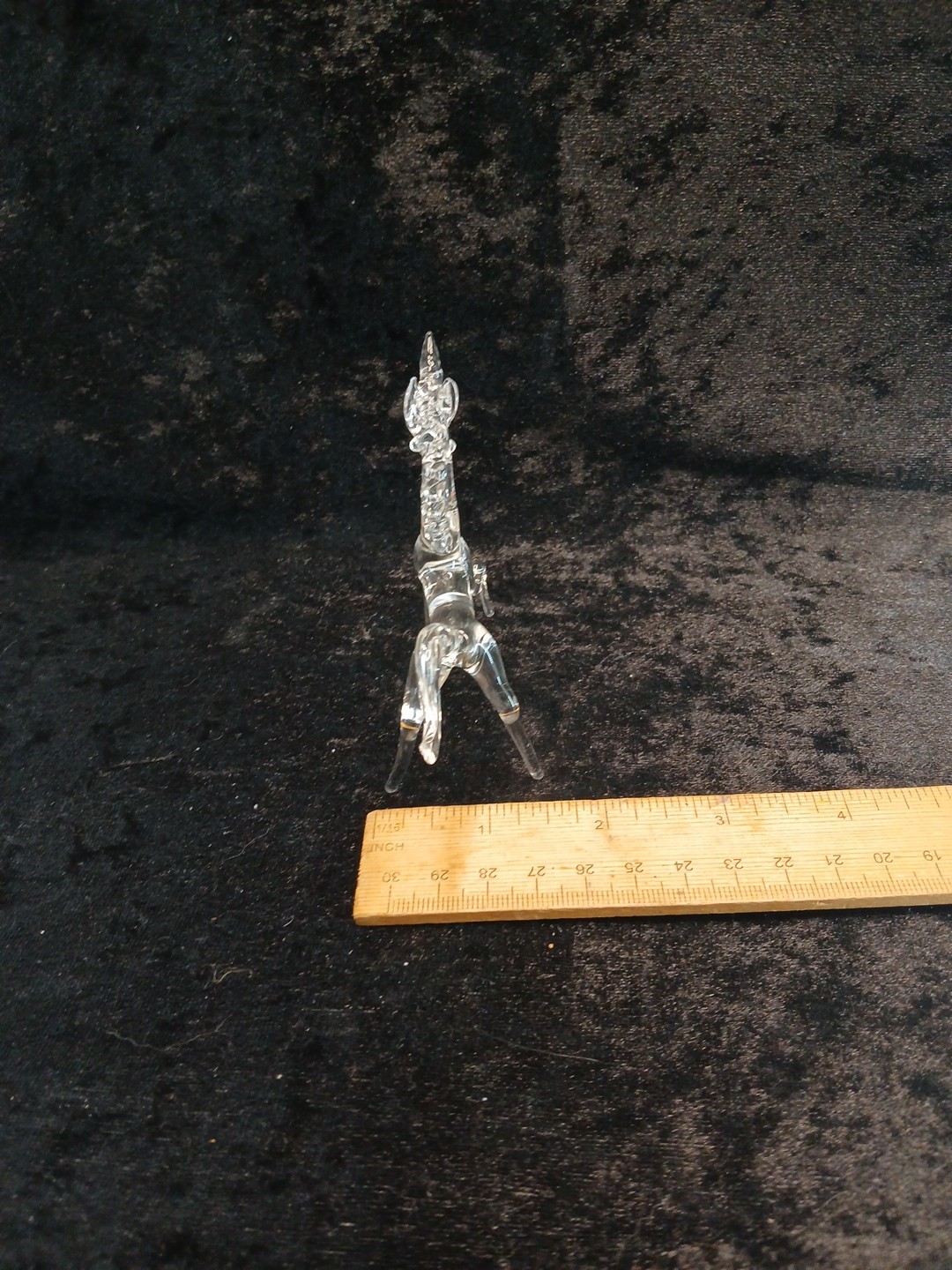 Picture 9 of 9