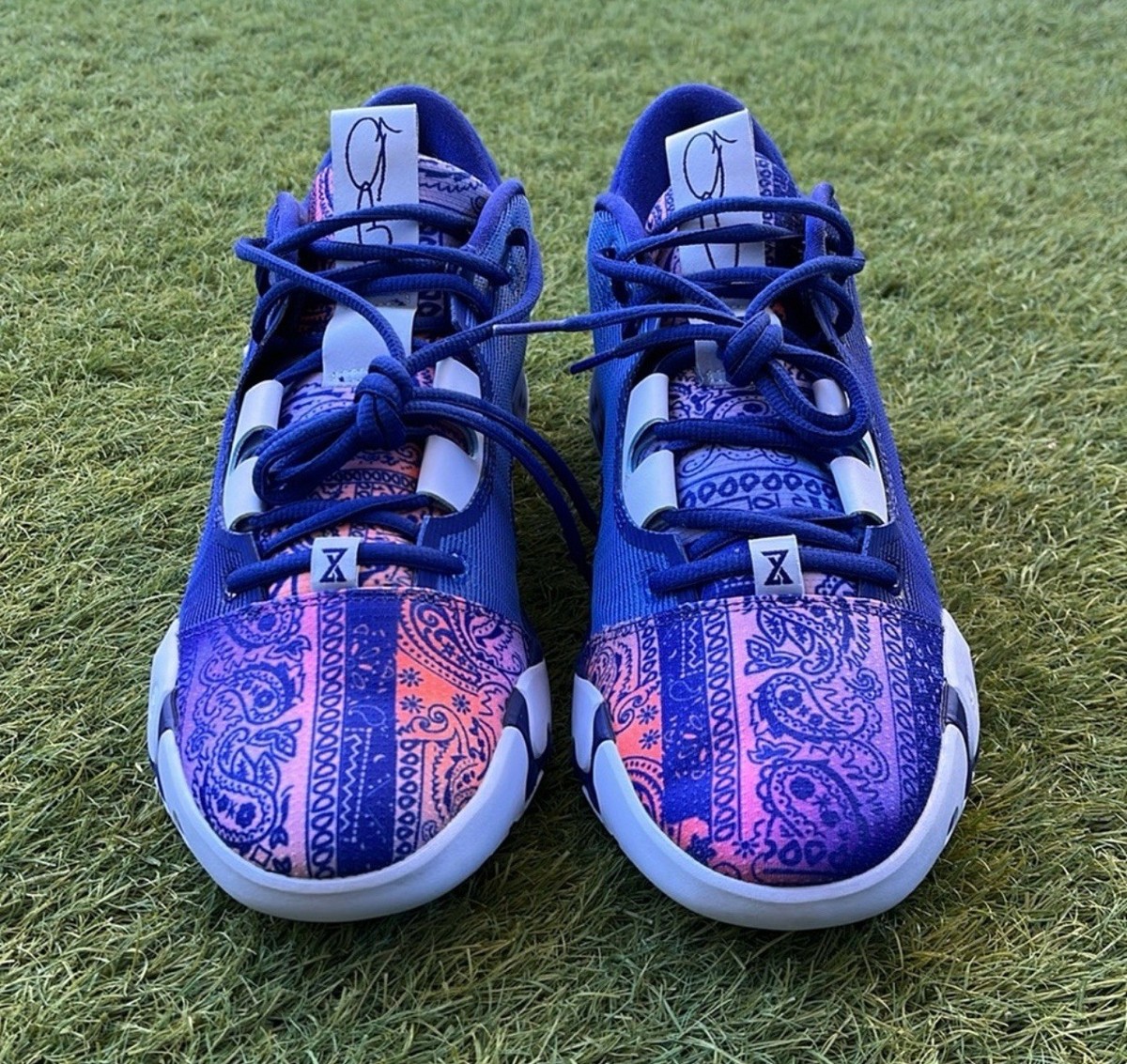 Size 10 Men's Nike PG 6 Blue Paisley Dc1974-400 | eBay