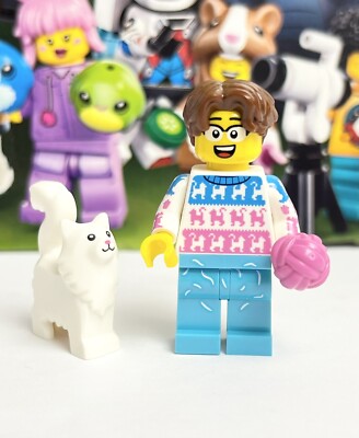 Lego Minifigures Series 27 Crazy Cat Lover 71048 | eBay