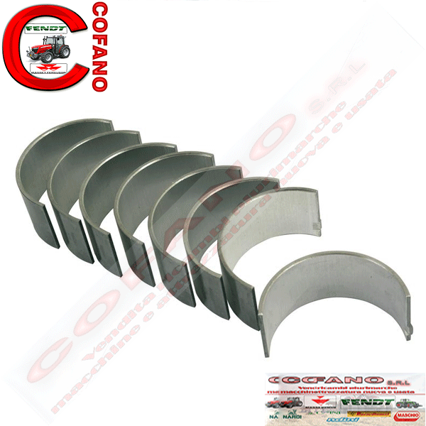 Agco Massey Ferguson Kit cuscinetti 737068M91 0.50 mm