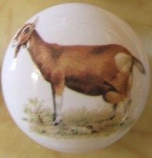 Cabinet Knobs Brown Goat Farm