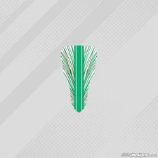 2022 TONYKART RACER 401RR STYLE M6 NASSAU STICKER - KARTING - JakeDesigns