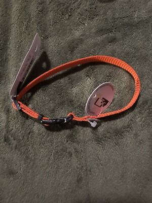 Coastal Lazer Brite XS Reflective Adjustable Dog Collar Orange