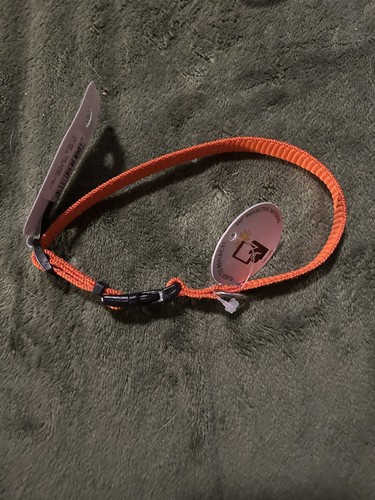 Coastal Lazer Brite XS Reflective Adjustable Dog Collar Orange 8" - 12" - Picture 2 of 2