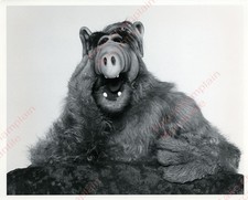 ALF Press Photo 8X10 Paul Fusco 1986 Alien from MELMAC