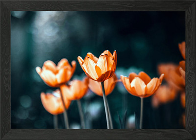 Orange Tulips in Bloom Floral Art Framed Wall Art Poster Canvas Print Picture