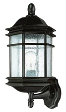 Dolan Designs 9236-68 Barlow 1 Light 17 inch Winchester Exterior Wall Lantern