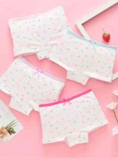 Little Girls Underwear Boy Shorts Toddler Panties 4PC Animal Print Pinks NIP 3-4