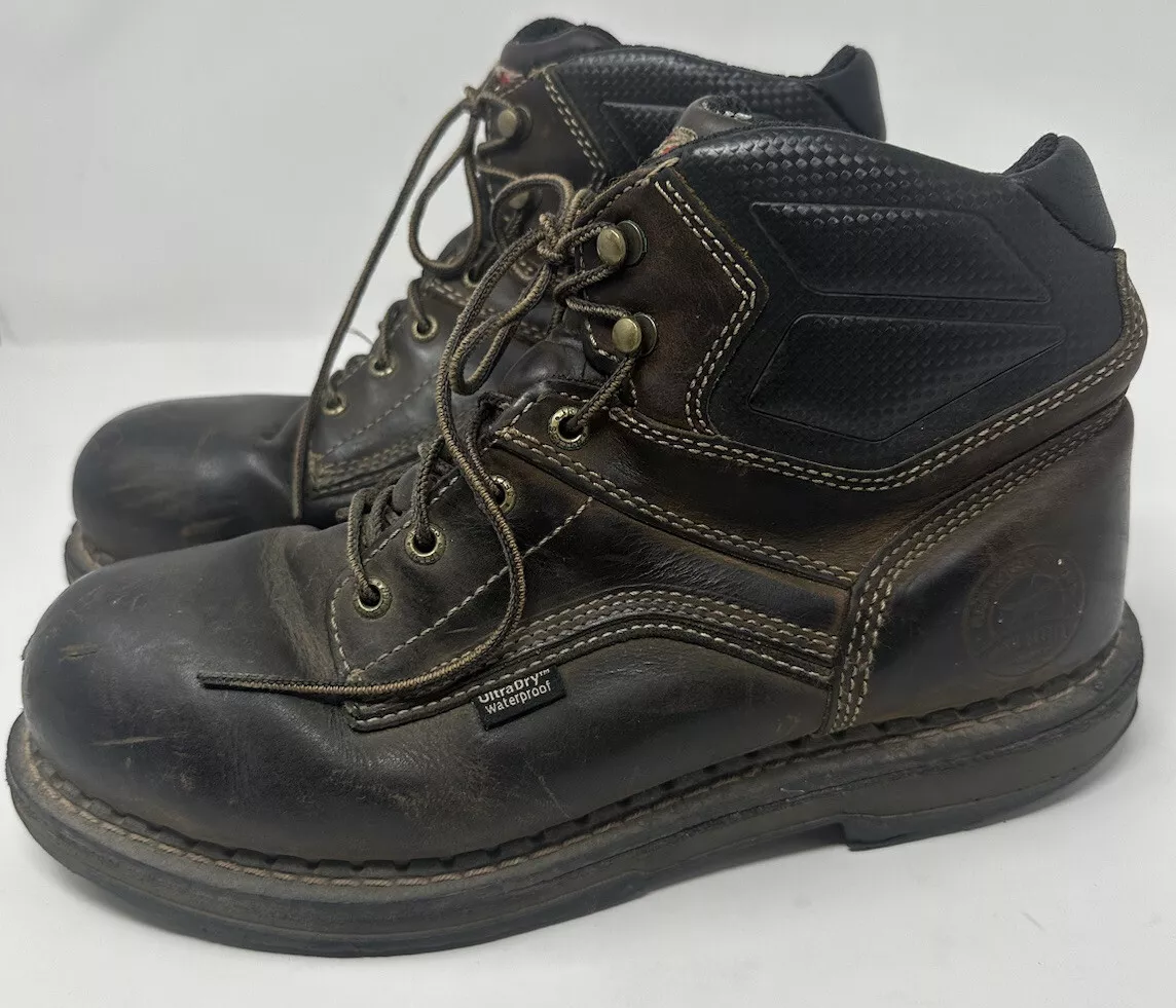 Irish setter 83600 sales