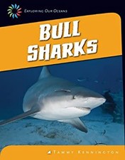 Bull Sharks Hardcover Tammy Kennington