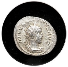  on The Hot Collector