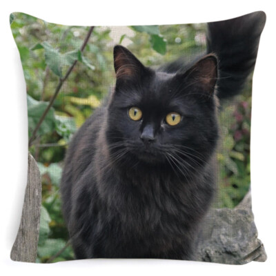 Kissenbezug Kissenbezug Katze 45x45 cm 