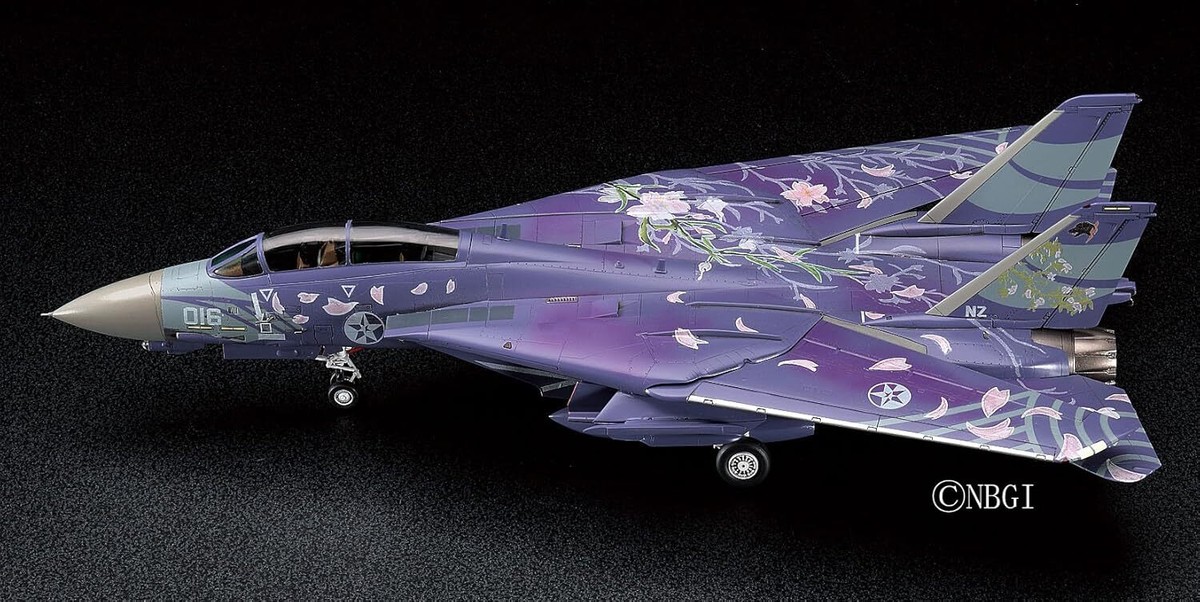 SAKURA☆ New Hasegawa 1/72 Airplane Series F-14D Tomcat Ace Combat