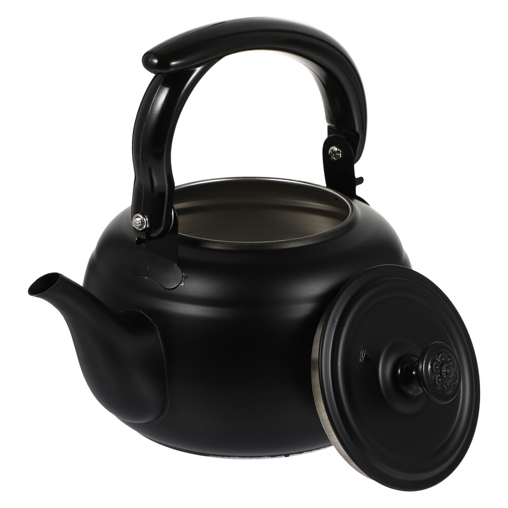 Stainless Steel Teapot Water Heating Kettle Gas Stove Top Alcohol