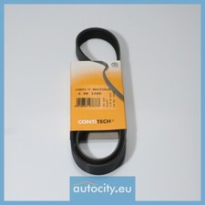 Courroie de distribution BMW M3
