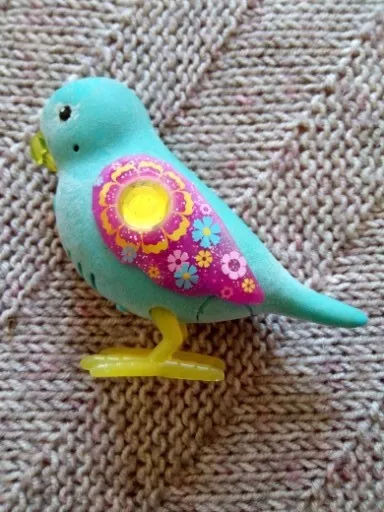 Little live top pets budgie