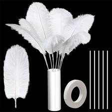 80 Pieces Ostrich Feathers Bulk Large Boho Feathers for Vase with 80 Pcs Iron