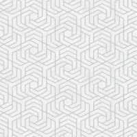 32607 - Stadt Glam Sechskant Geometrisch Silber Weiß Galerie Tapete