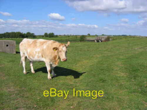 Photo 6x4 The Pill Box The Cow And The Sluice Tetney Lock  c2007 - Picture 1 of 1