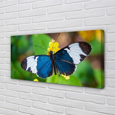 Tulup Leinwandbild 140x70 Wandkunst Bunter Schmetterling auf Blumen