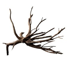 SuperFish Aquarium Fish Tank Black Spider Wood Decor