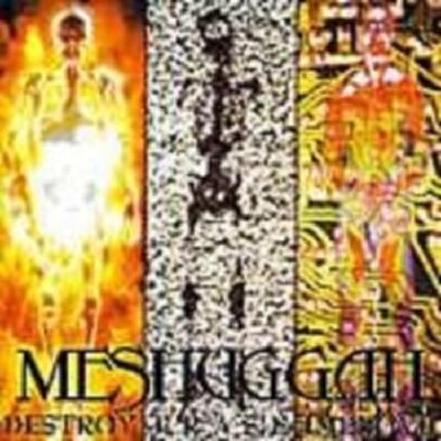MESHUGGAH 